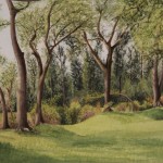 ArtistCarl_TreeTopsPark_#4