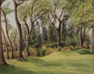 ArtistCarl_TreeTopsPark_#4