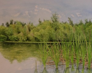 ArtistCarl_TreeTopsPark_#5