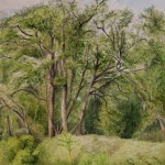 ArtistCarl_TreeTopsPark_#6