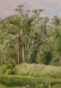 ArtistCarl_TreeTopsPark_#6