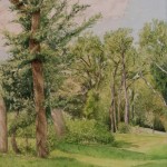 ArtistCarl_TreeTopsPark_#7