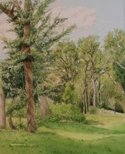 ArtistCarl_TreeTopsPark_#7