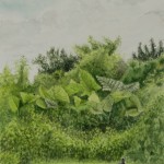 ArtistCarl_TreeTopsPark_#9