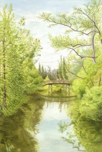 ArtistCarl_TreetopsPark_14